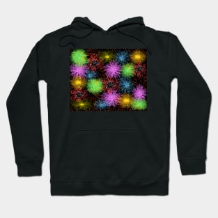 Festive Fireworks Hoodie